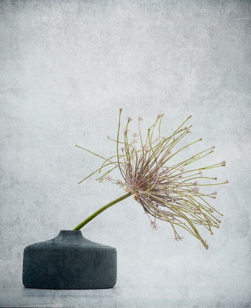 Delicate Botanical Still Life — kunstværk af Saskia Dingemans
