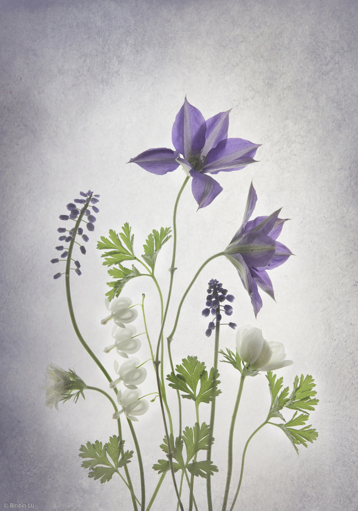 Delicate Spring Blooms — kunstværk af Binbin L.