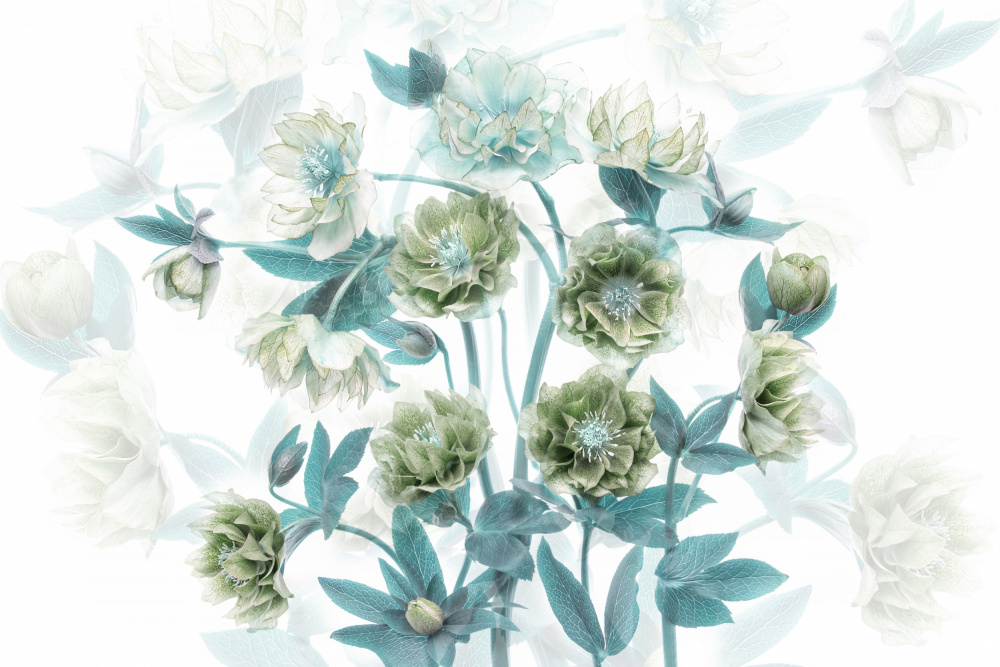 Aqua Green Blooms — Fine-art paper