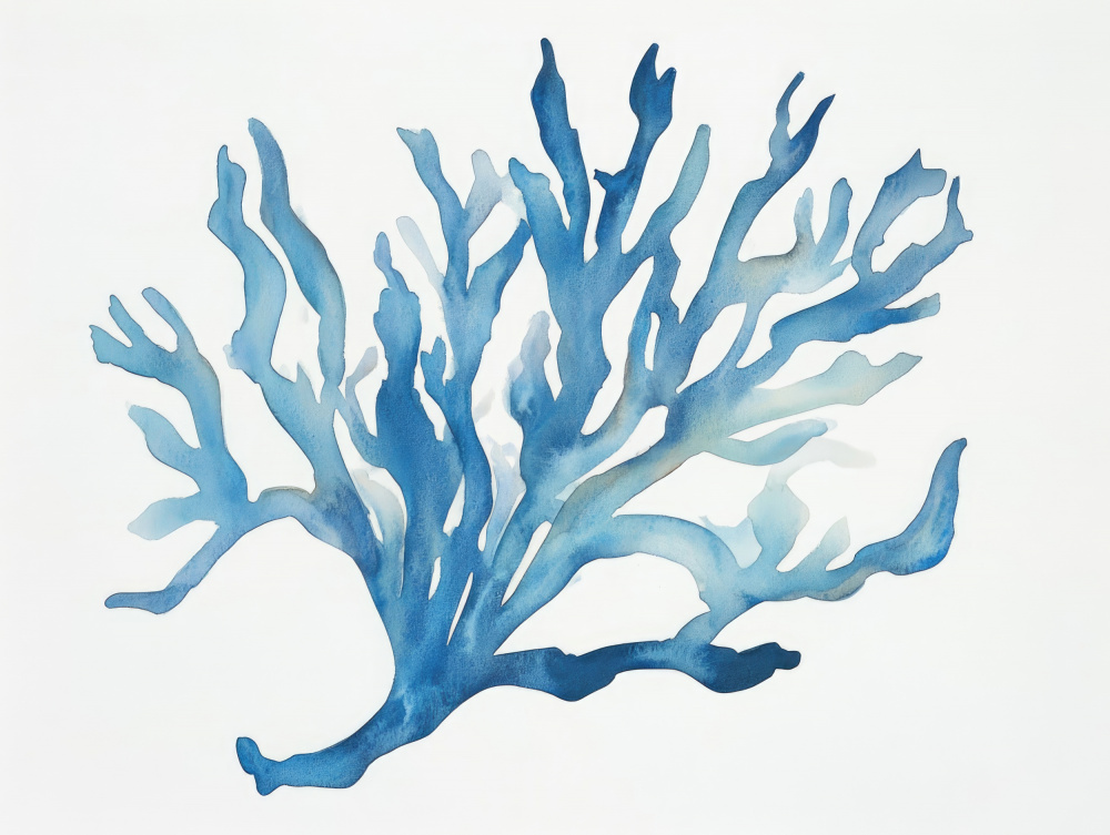 Blue Coral — Canvas