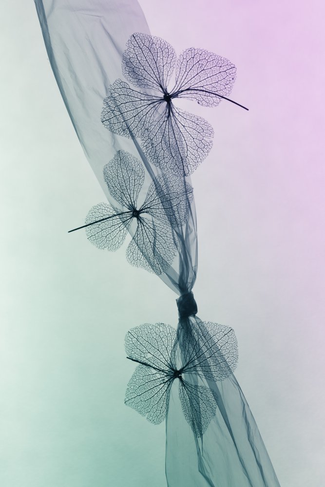 Ethereal Botanical Flow — Canvas