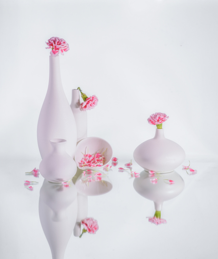 Serene Pink Vases — Canvas