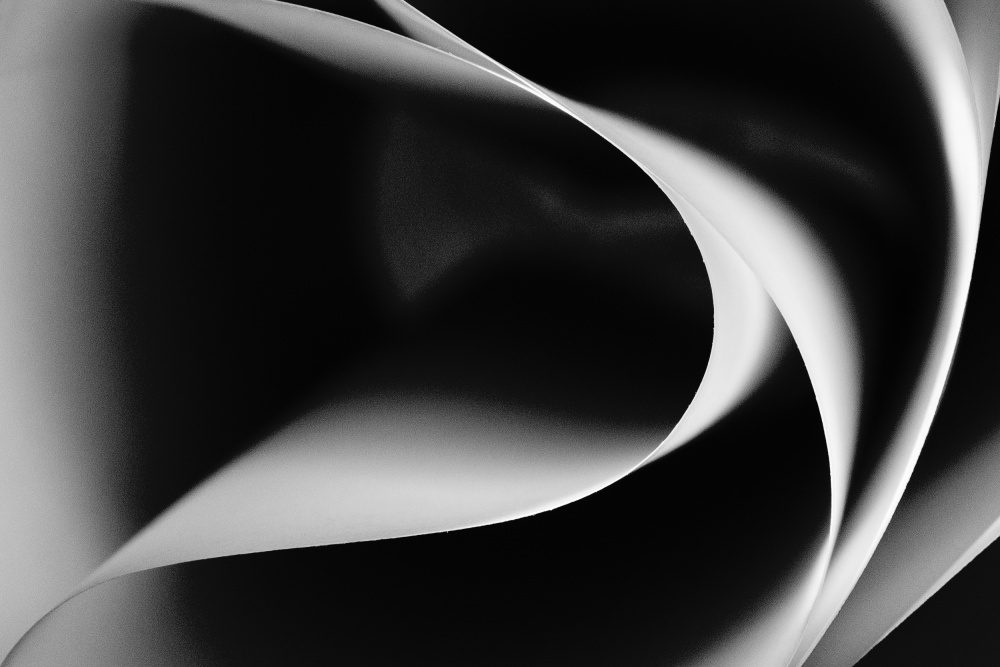 Curved Light Study — Canvas