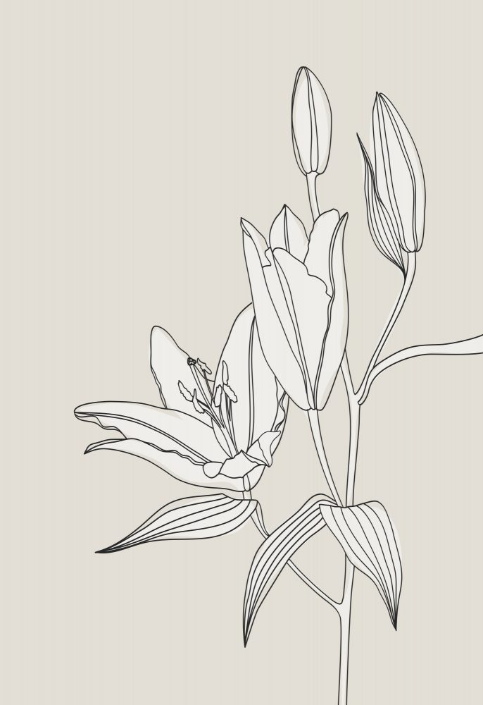 Line Art Lillies In Beige — Canvas