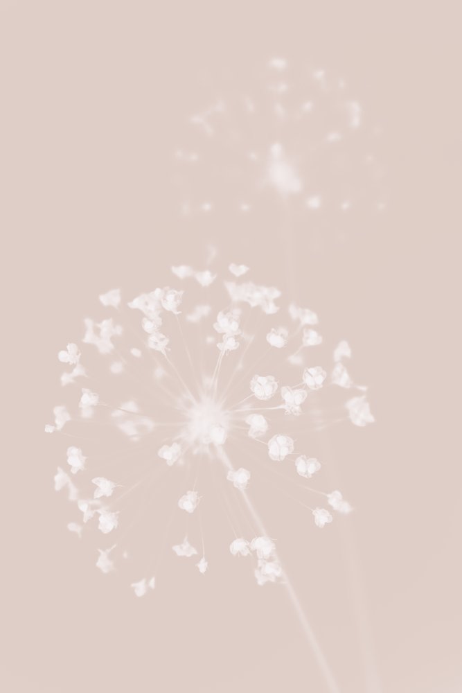 Dreamy Pastel Flowers — Framed canvas