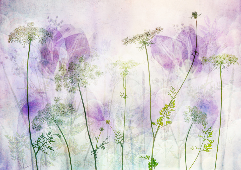 Ethereal Purple Blooms — Canvas