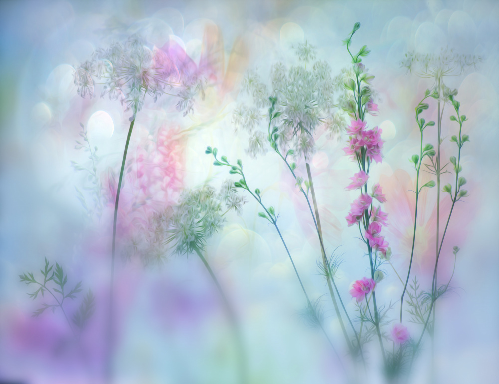 Pastel — Framed canvas
