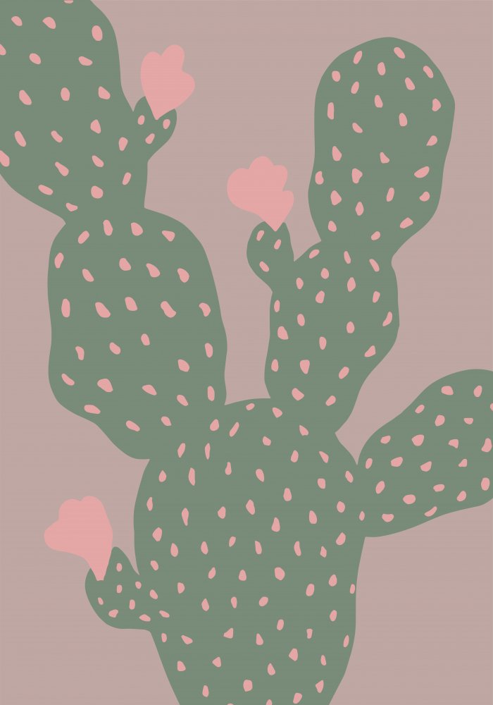 Pink Cactus Blooms — Canvas