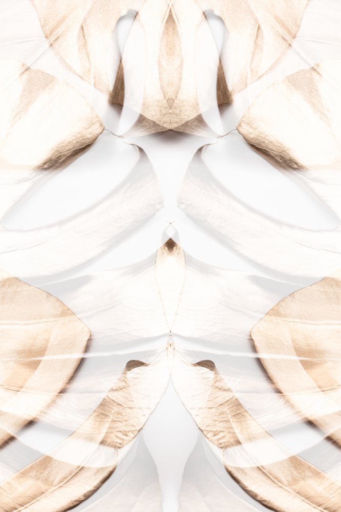 Soft Beige Abstraction — Framed canvas