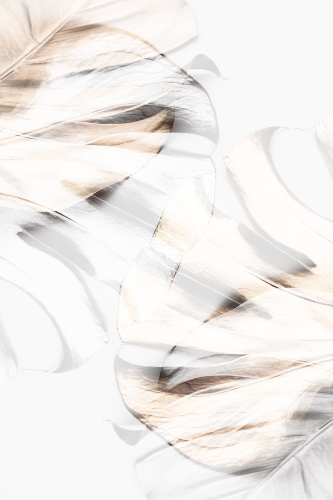 Soft Tropical Leaves — Canvas