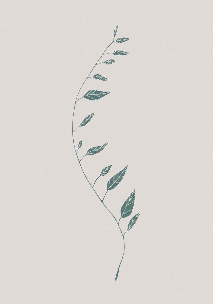 Delicate Botanical Curve — Canvas