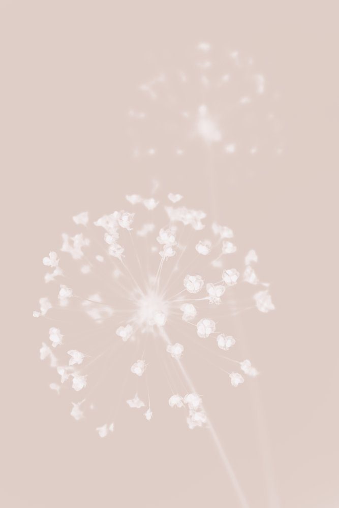 Dreamy Pastel Flowers — Canvas