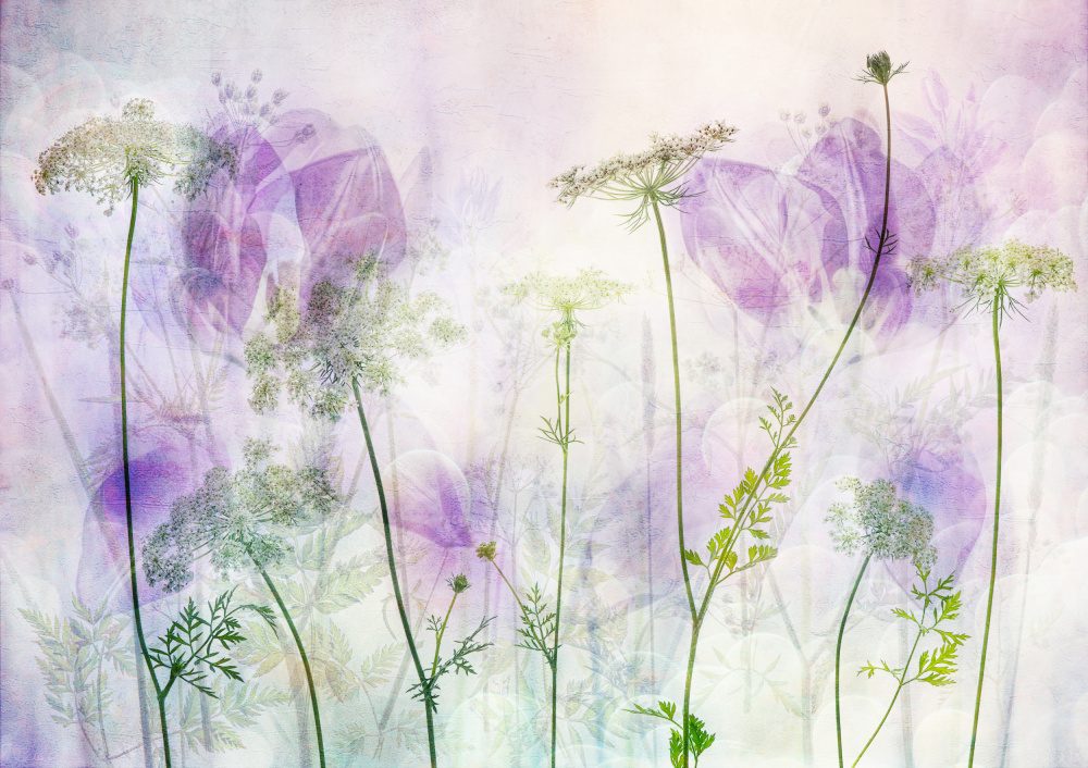 Ethereal Purple Blooms — Canvas