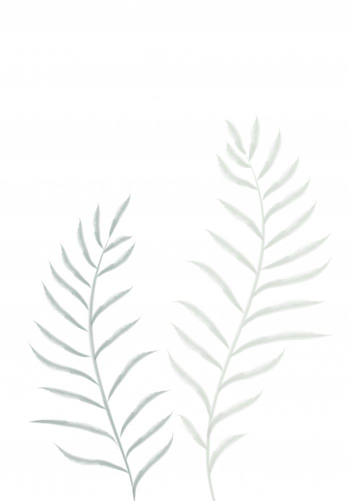 Minimal Botanical Leaves — Canvas
