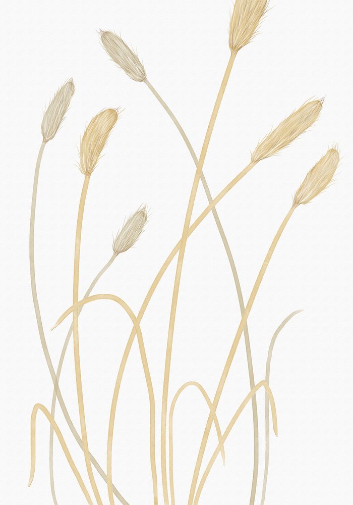 Neutral Pampas Grass — Canvas