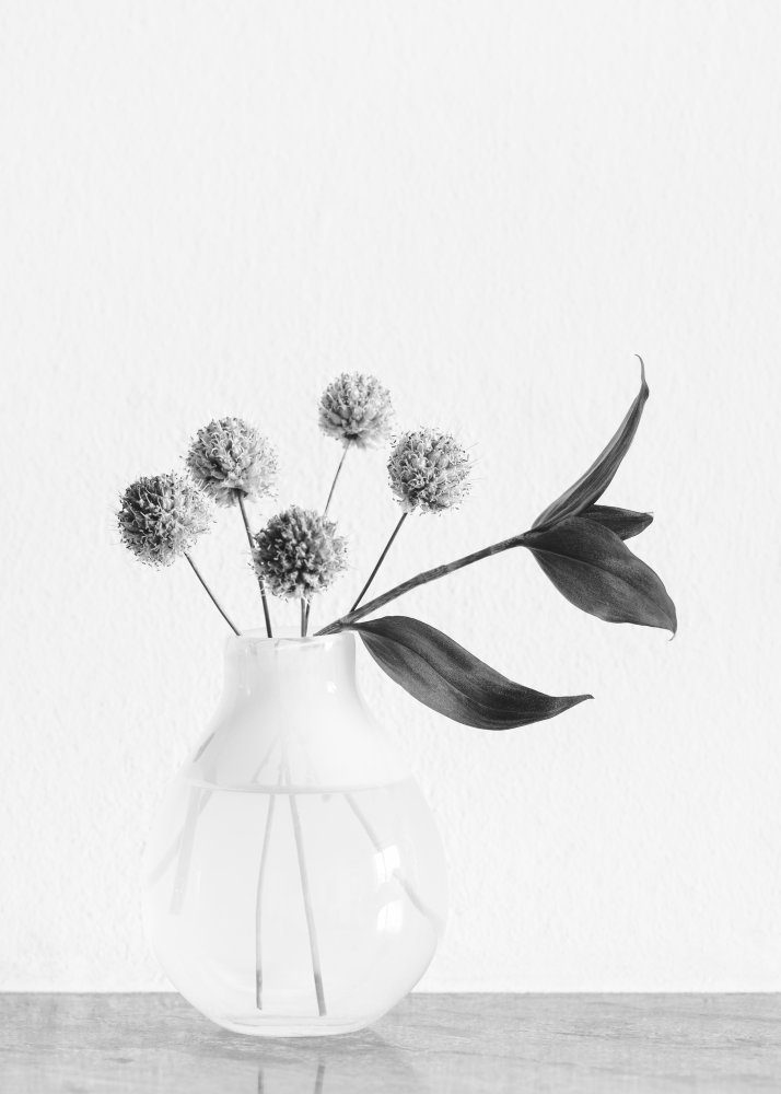 Vase Chives Flower — Canvas