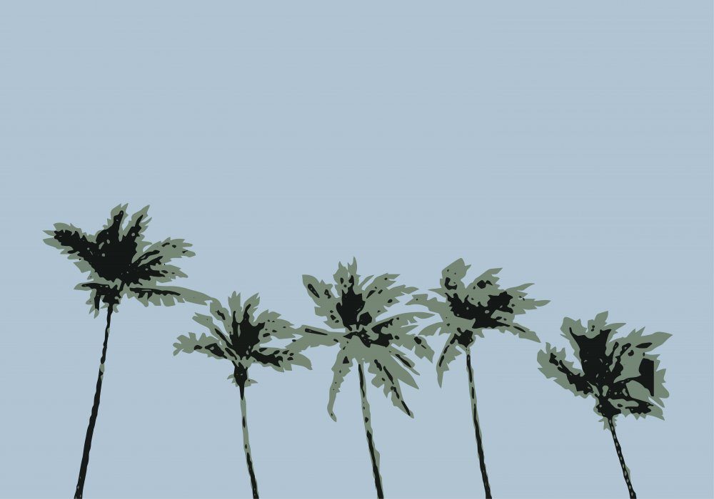 Paradise Palms Blue Sky — Canvas