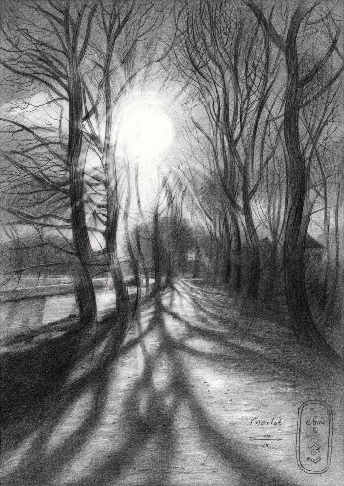 Path Of Winter Light — Canvas