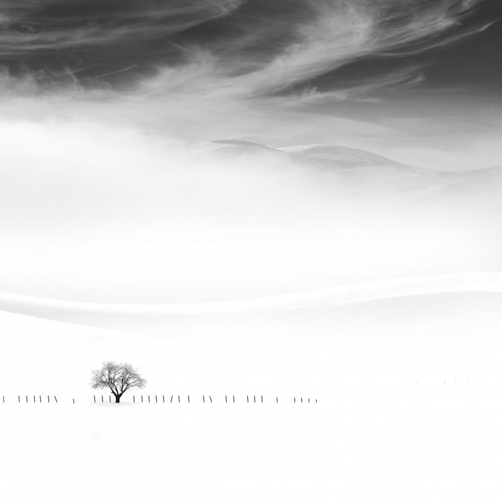 Poems Of Silence — Canvas
