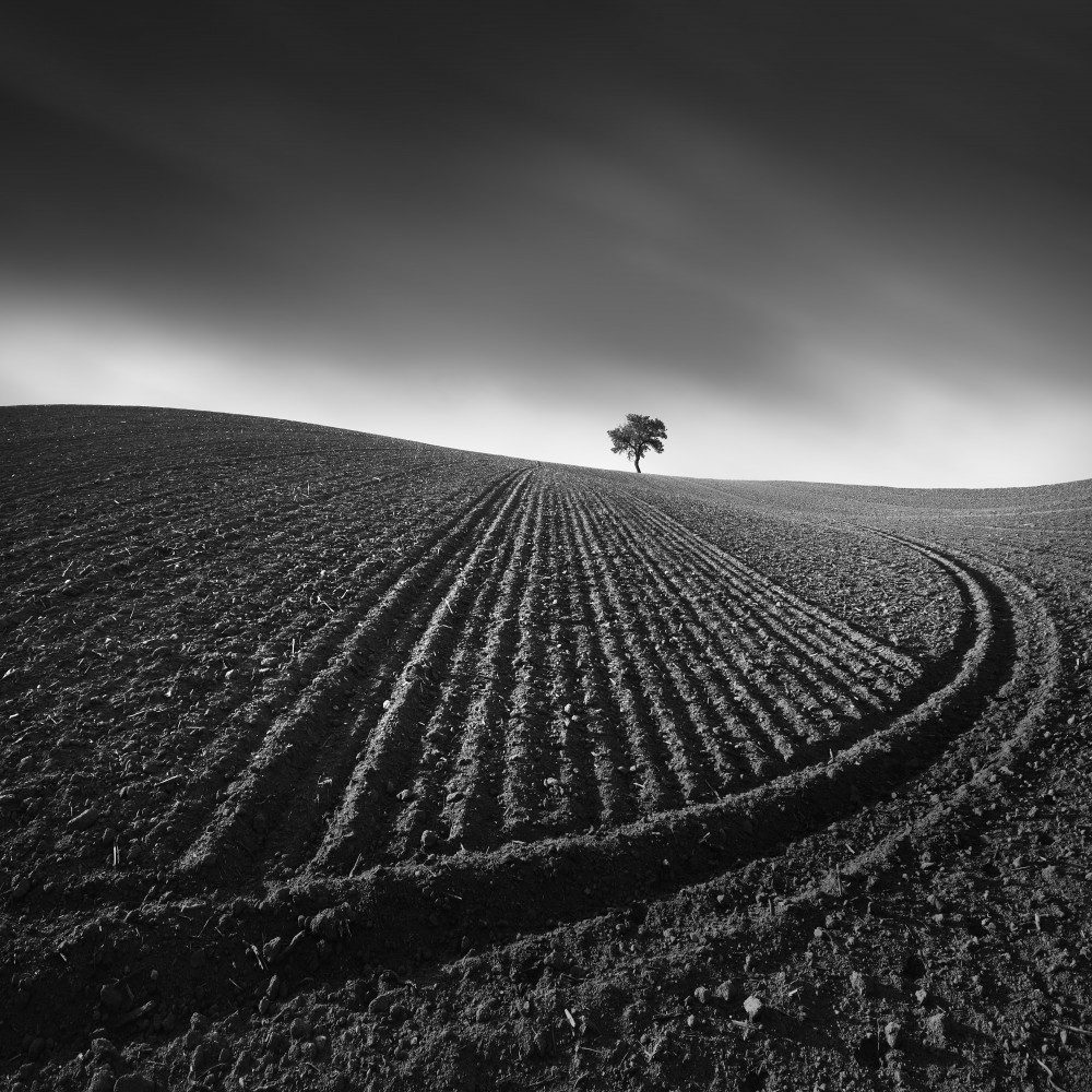 Radius — Canvas