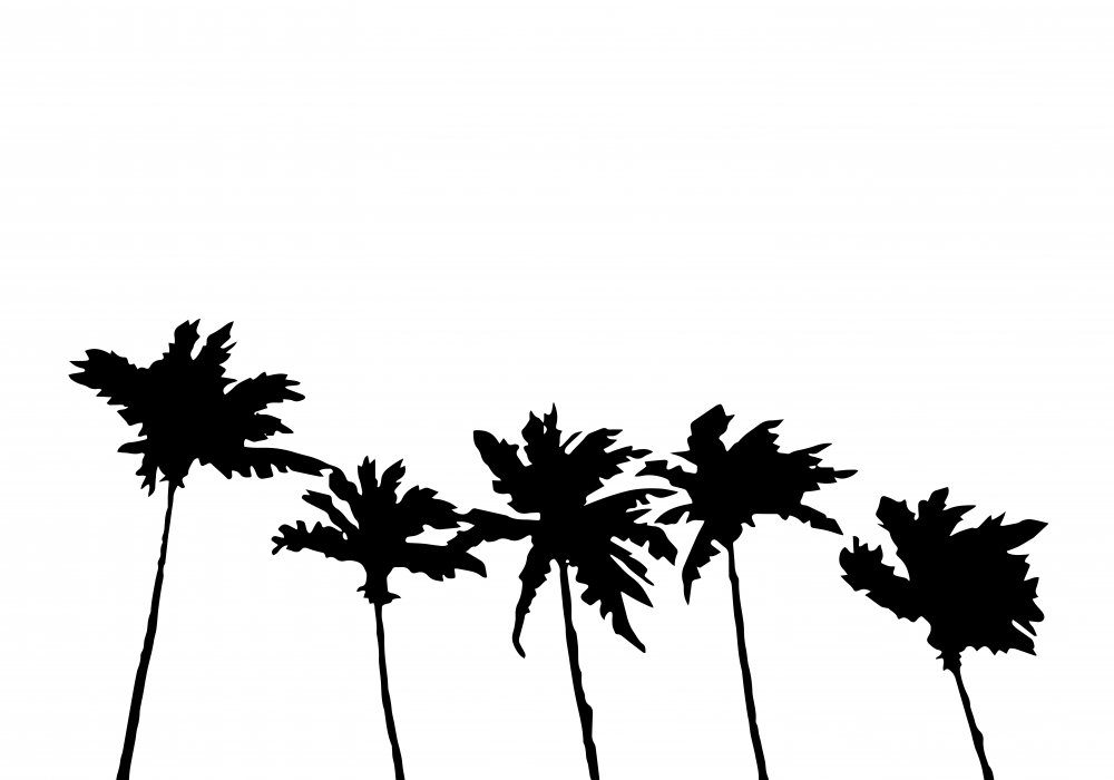 Tropical Palm Silhouettes — Canvas