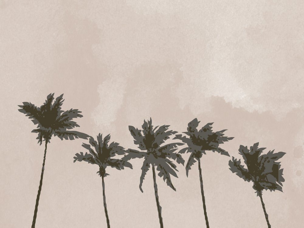 Tropical Palms Silhouette — Canvas