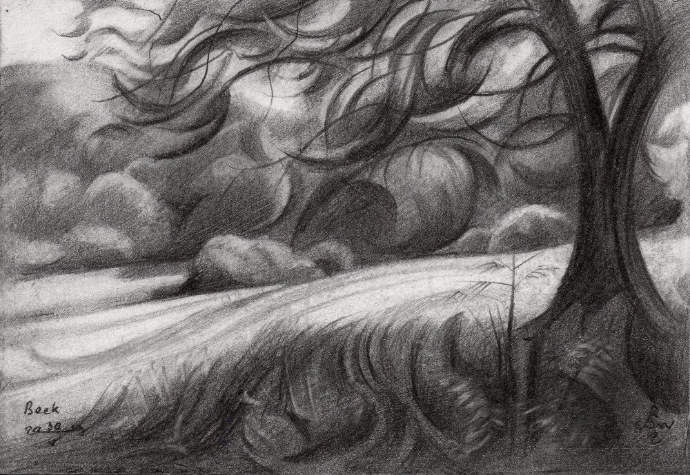 Winding Tree Path — Canvas