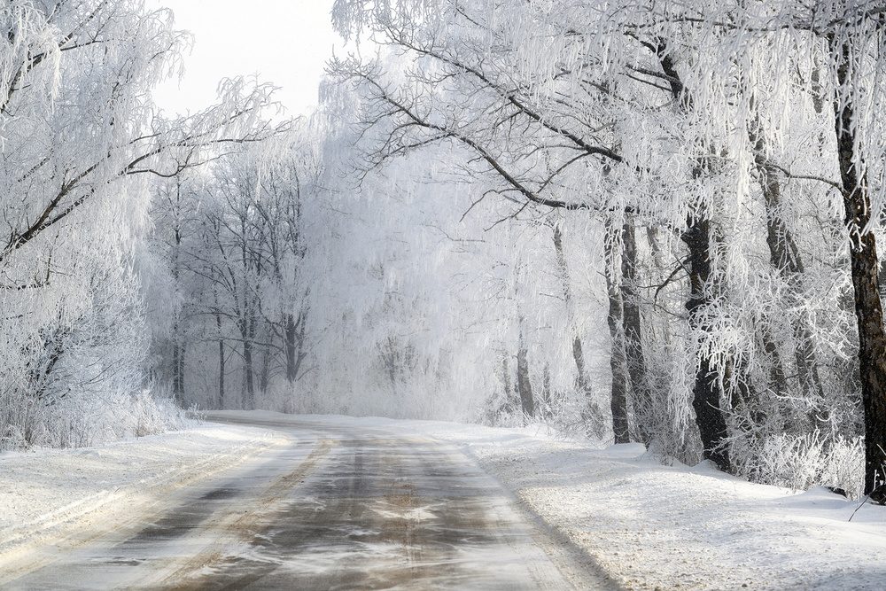 Winter Road — Canvas