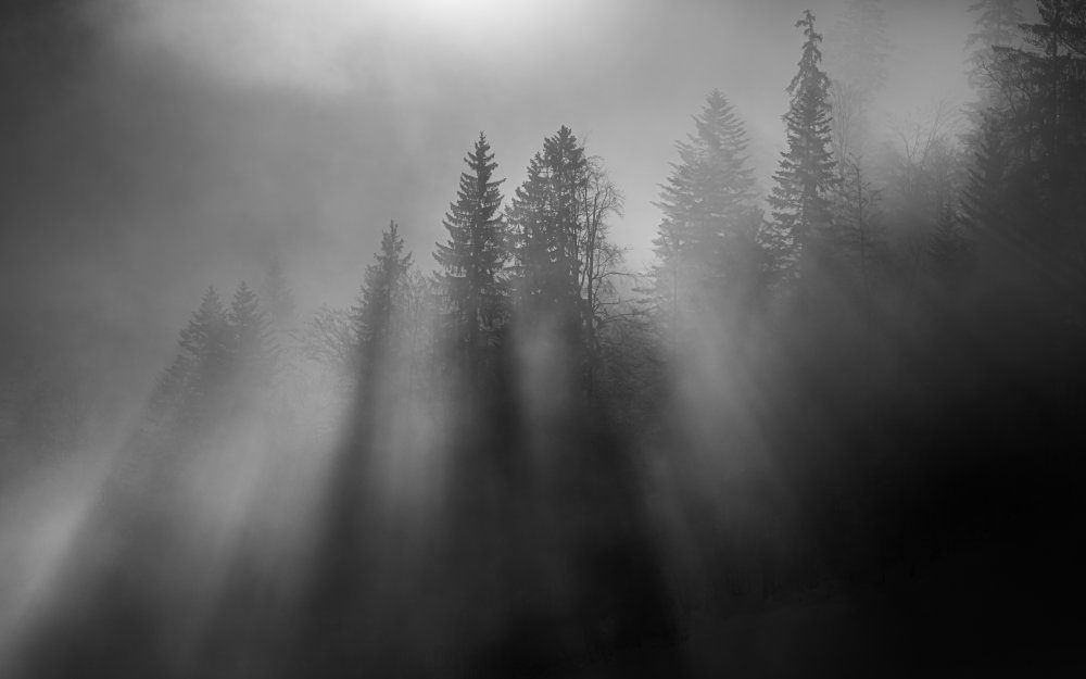 Wintersun — Canvas